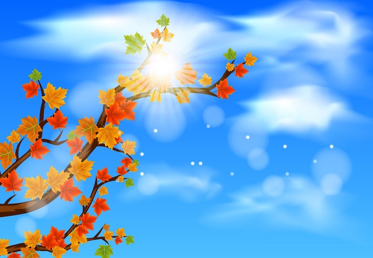 वेक्टर branch with autumn maple leaves and sunshine