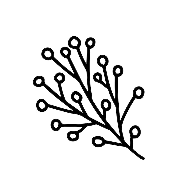 Ramo con illustrazione vettoriale di frutti di bosco pianta di natale disegnata a mano