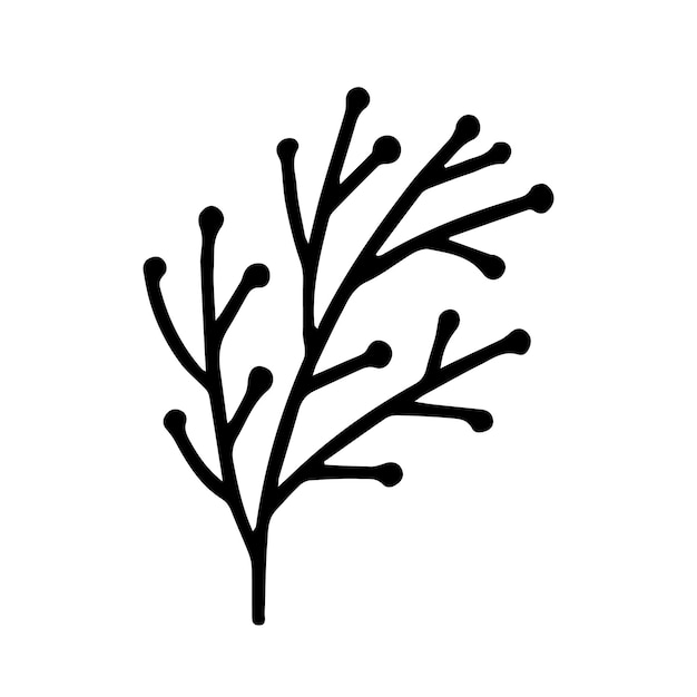 Branch with berries vector doodle illustration Hand drawn Christmas plant