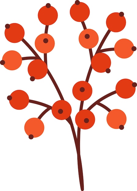Vector branch with berries