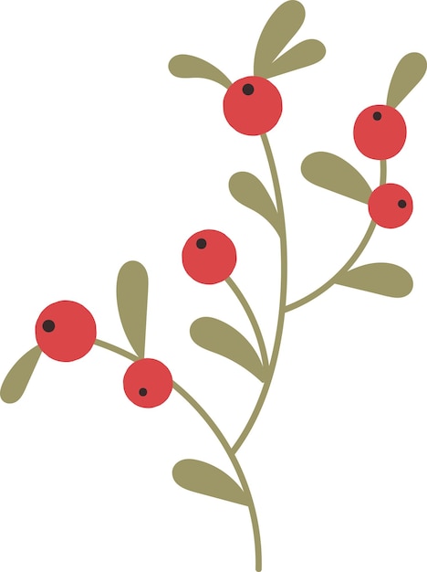 Vector branch with berries