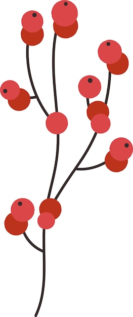 Vector branch with berries