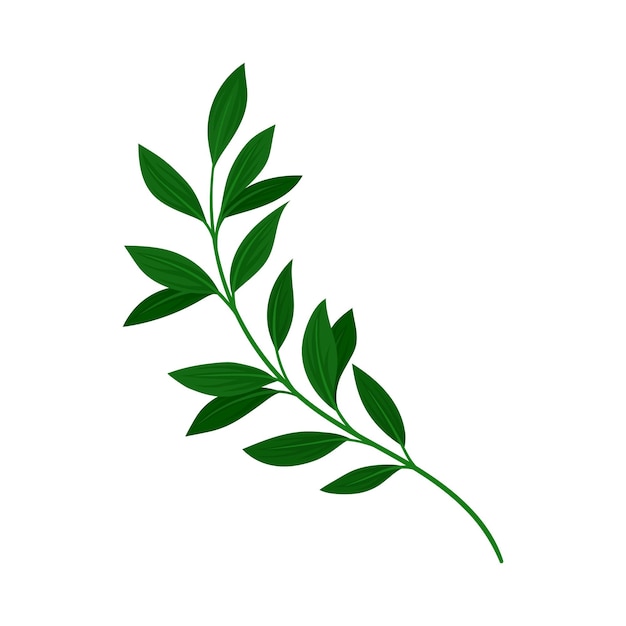 흰색 배경의 왼쪽 벡터 그림으로 기울어진 진한 녹색 잎이 있는 가지