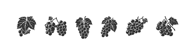 Branch with grape silhouette icon set Vector illustration design