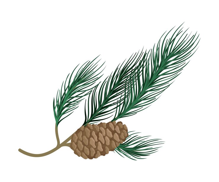 Vector branch with green needles and a brown cone vector illustration
