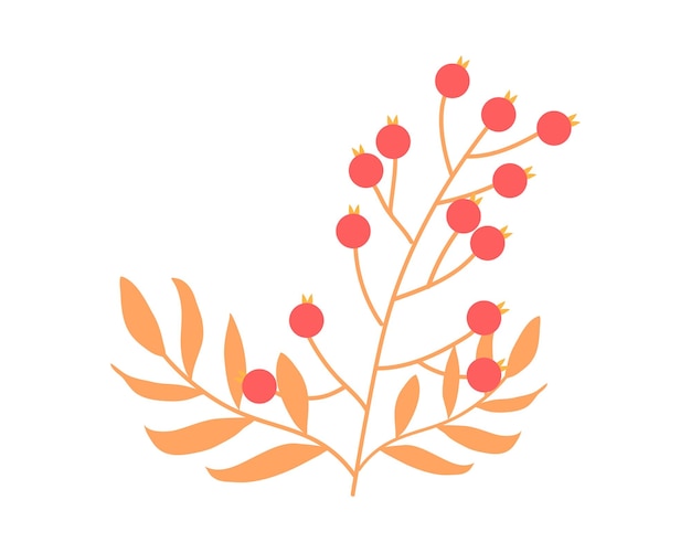 branch with leafs and seeds isolated icon vector illustration desing