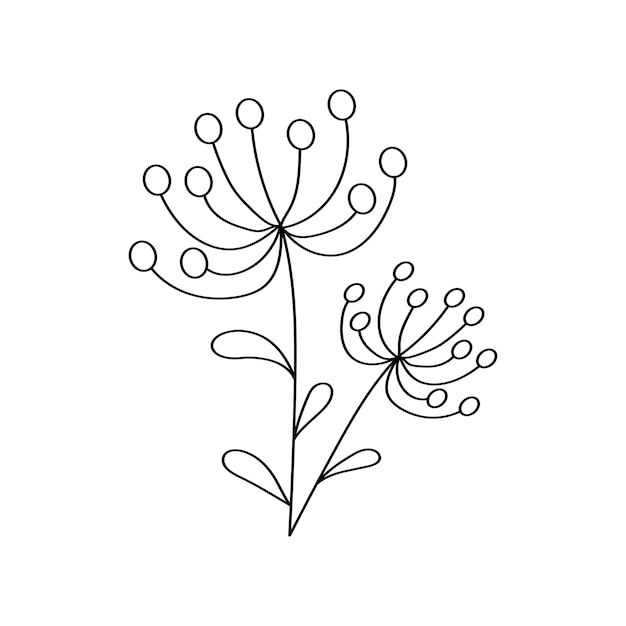 Premium Vector | Branch with leaves and berries floral sign ...