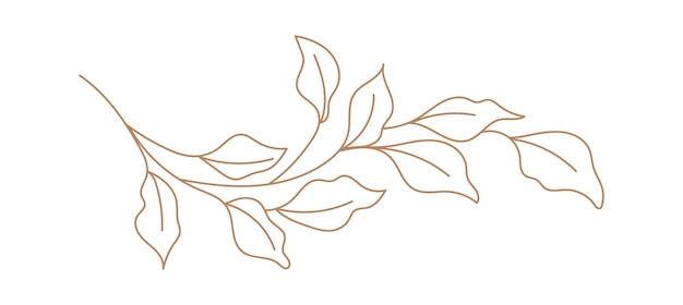 Branch with leaves lined illustration