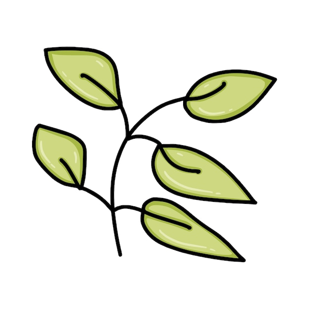 Ветка с листьями растений природа каракули линейный мультфильм