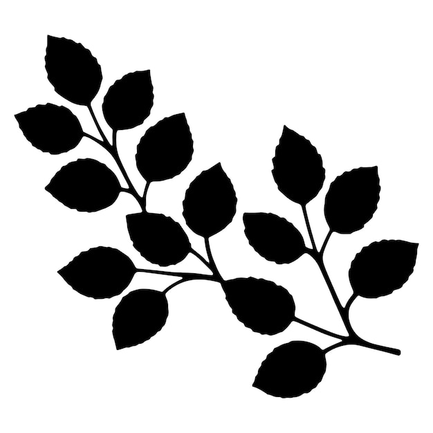 Branch with leaves and stem silhouette Vector illustration