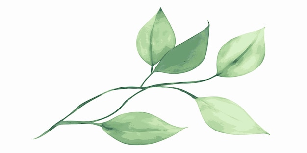 Ветка с векторным рисунком листьев изолирована на белом
