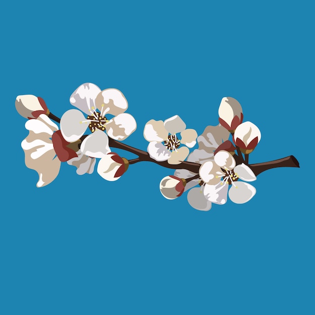 Vector branch with sakura flowers. cartoon illustration of a cherry blossom in spring. drawing for children.