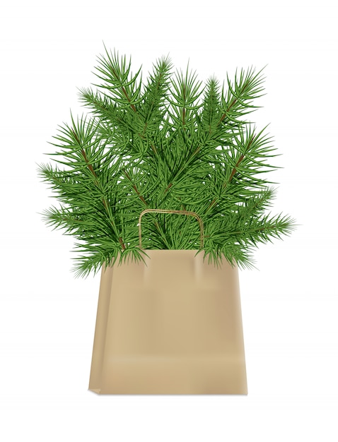 Branches of Christmas tree in the kraft paper package isolated on a white background