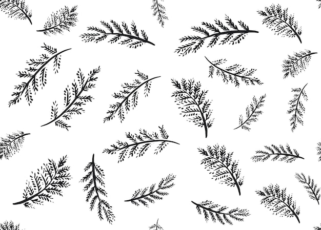 Branches collection hand drawn vector