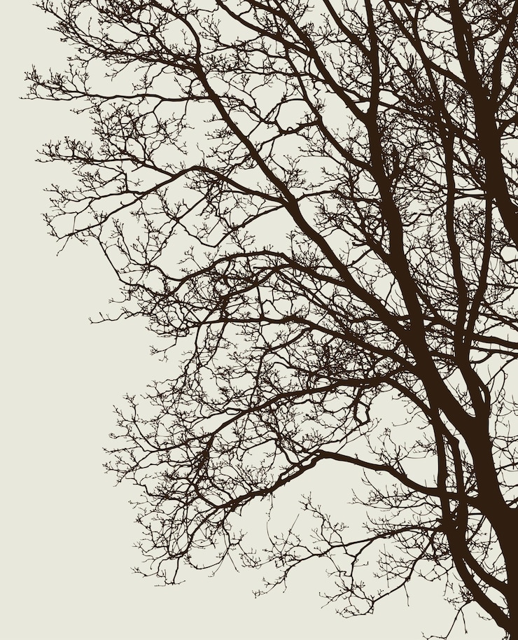 Vector branches of a deciduous tree without leaves