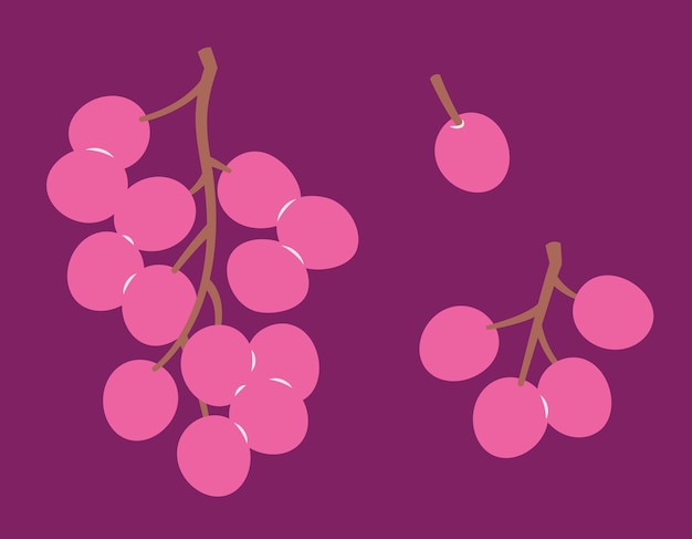 Branches of grapes in flat style