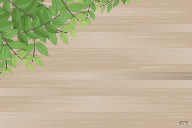 branches of green leaves on brown wood texture background.