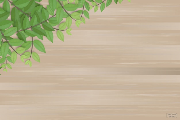 Branches of green leaves on brown wood texture background.