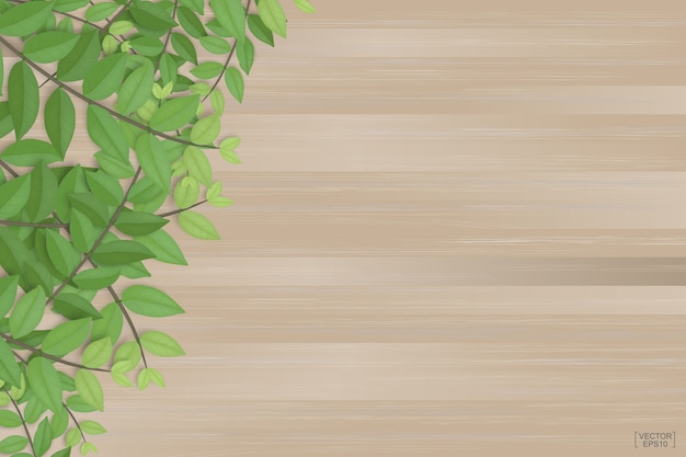 Branches of green leaves on brown wood texture background