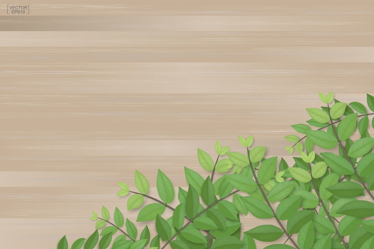 Vector 茶色の木の質感に緑の葉の枝。