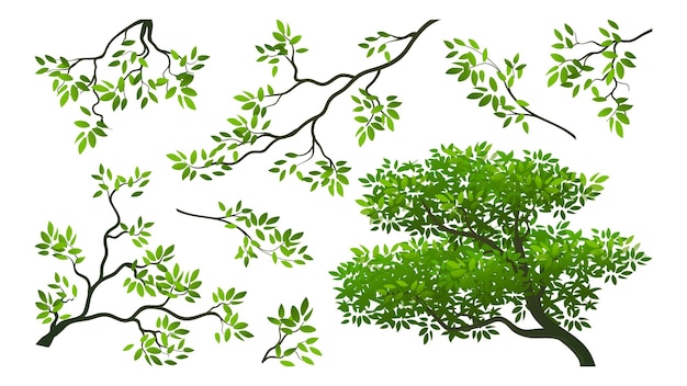 Branches and leaves vector illustration, Cartoon trees elements collections