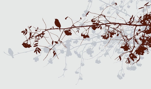 Vector branches of rowan trees in autumn forest