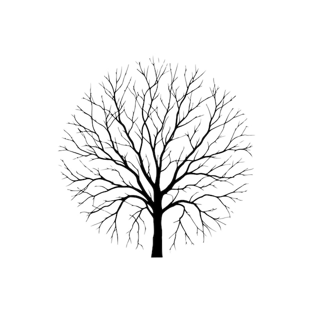 Branches silhouette dead tree Vector minimal naked tree vector isolated on white background