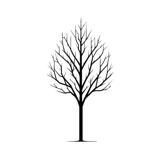 Branches silhouette dead tree Vector minimal naked tree vector isolated on white background