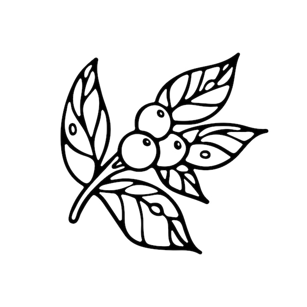 Vettore rami con foglie e bacche contorno doodle per libro da colorare giardino incantato vettore premium