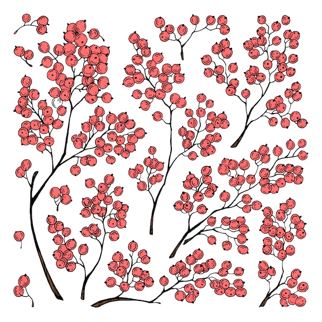 붉은 열매와 가지