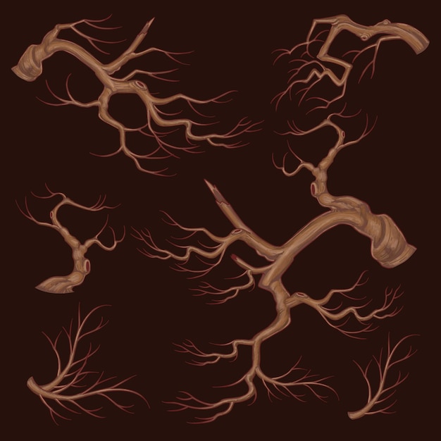 Vector branches