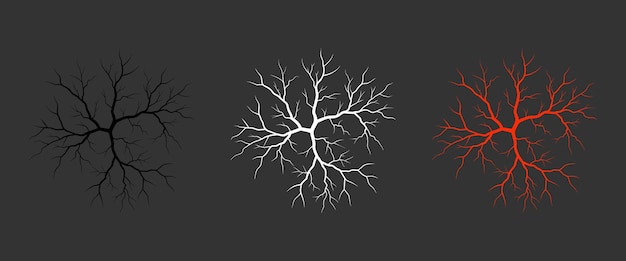 Branching crack patterns isolated on a dark background Crack Patterns in black white and red colors