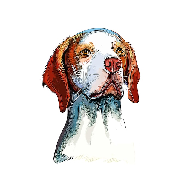 Брак Сен-Жермен Порода Собак Акварельный Эскиз Рисованной Краской Иллюстрации