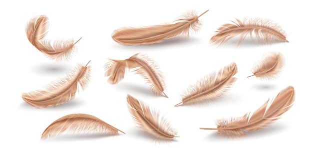 Brass feathers realistic vector illustration collection