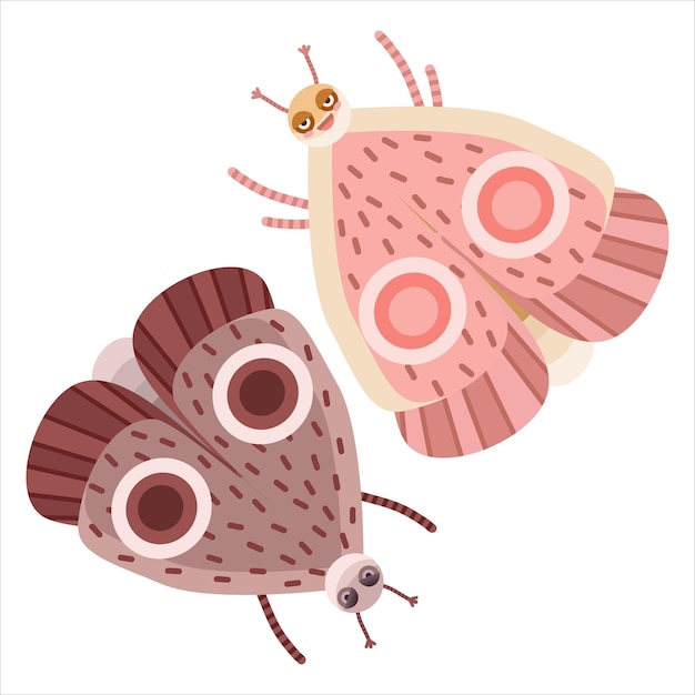 Vector braun and pink moths witchy familiar insect. cute butterflies with pretty faces