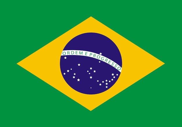 그런 지 텍스처와 브라질 국기 브라질 국기