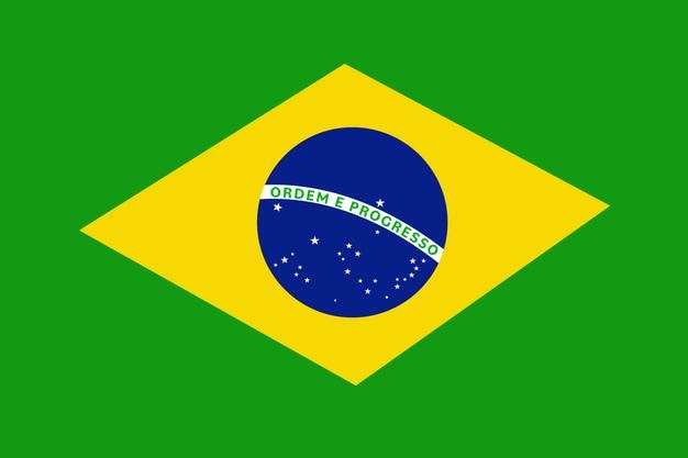 Brazil flag pattern background Realistic national flag design Abstract vector template