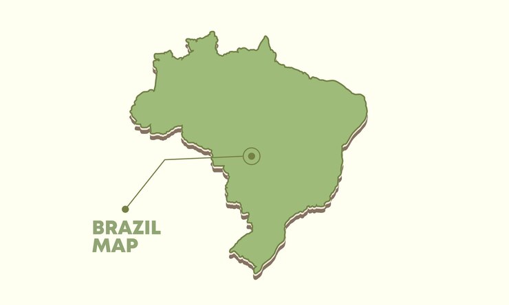 Vector brazil map vector illustration editable united states map design for infographics and presentation
