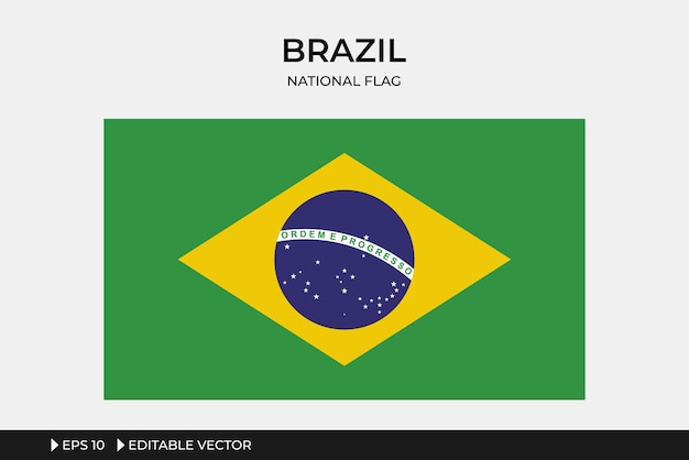 Vector brazil national flag illustration