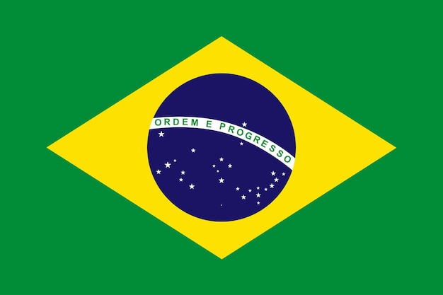 Vector brazil national flag vector design