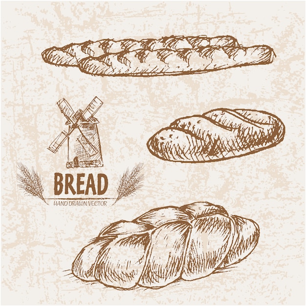 Vector bread designs collection