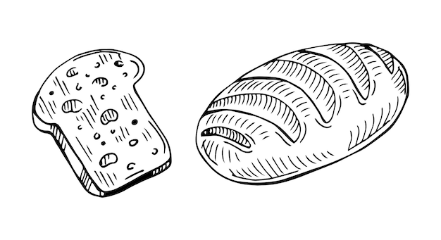 Bread and one piece isolated on white background. Vector hand drawn illustration