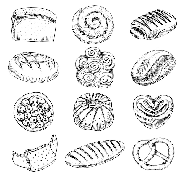 Vector bread and pastry donut long loaf and fruit pie sweet bun or croissant bagels and toasts engraved hand drawn in old sketch and vintage style for label and menu bakery shop organic food