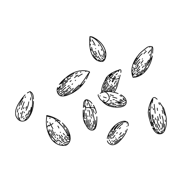 bread rye sketch hand drawn vector