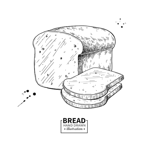 Vector bread vector drawing. bakery product sketch. vintage food