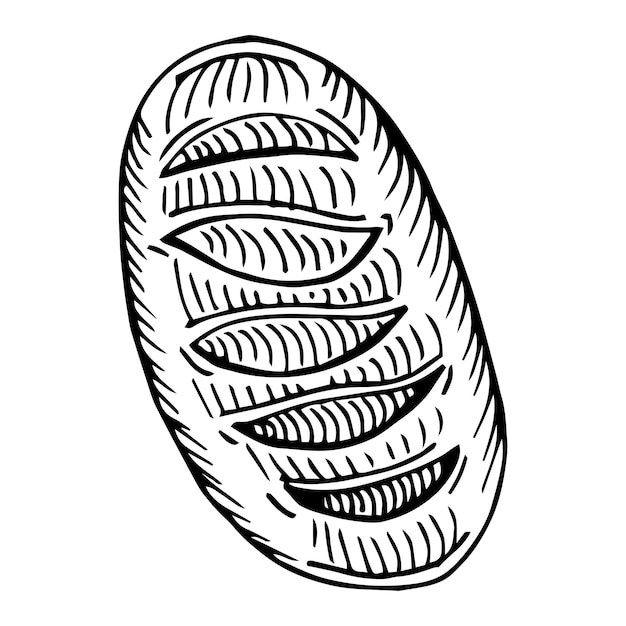 Bread vector drawing. Bakery product sketch.