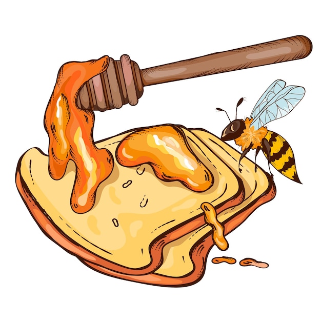 Pane con miele e ape illustrazione vettoriale disegnata a mano isolata