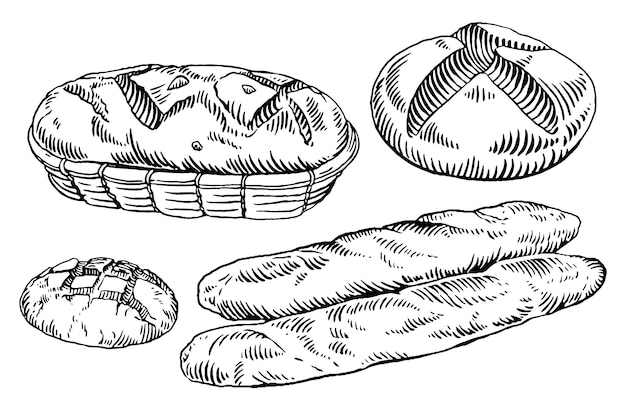 Vector breads_04