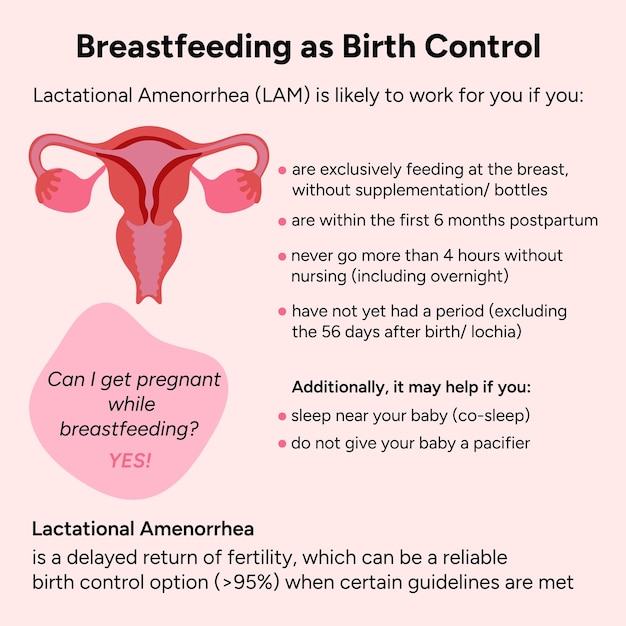 Breastfeeding as birth control medical information in vector