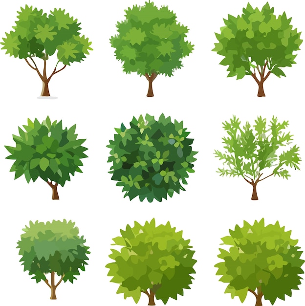 Vector breathtaking forest trees bushes plants art vector